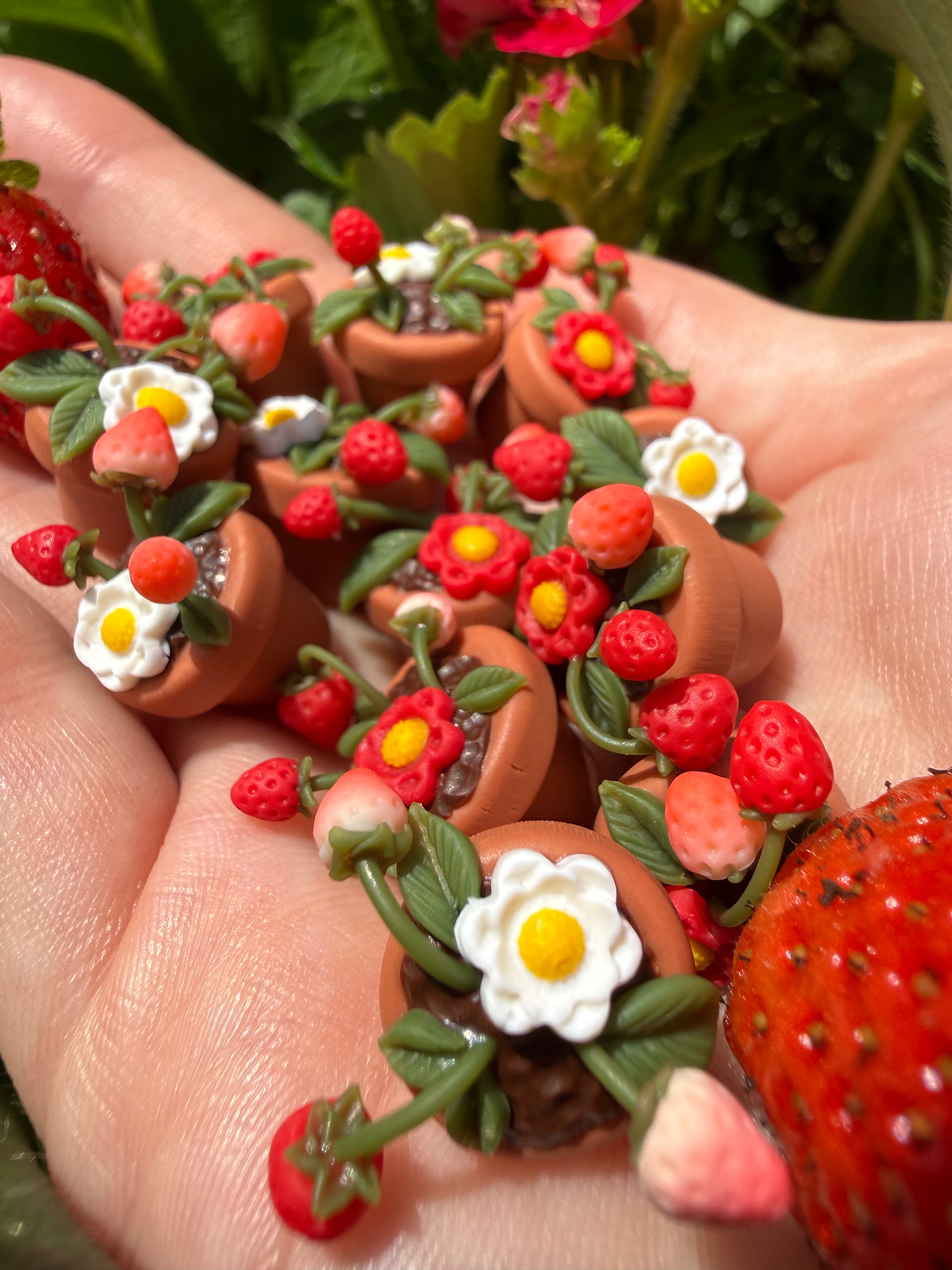"Fairygrown" Fruits & Veggies