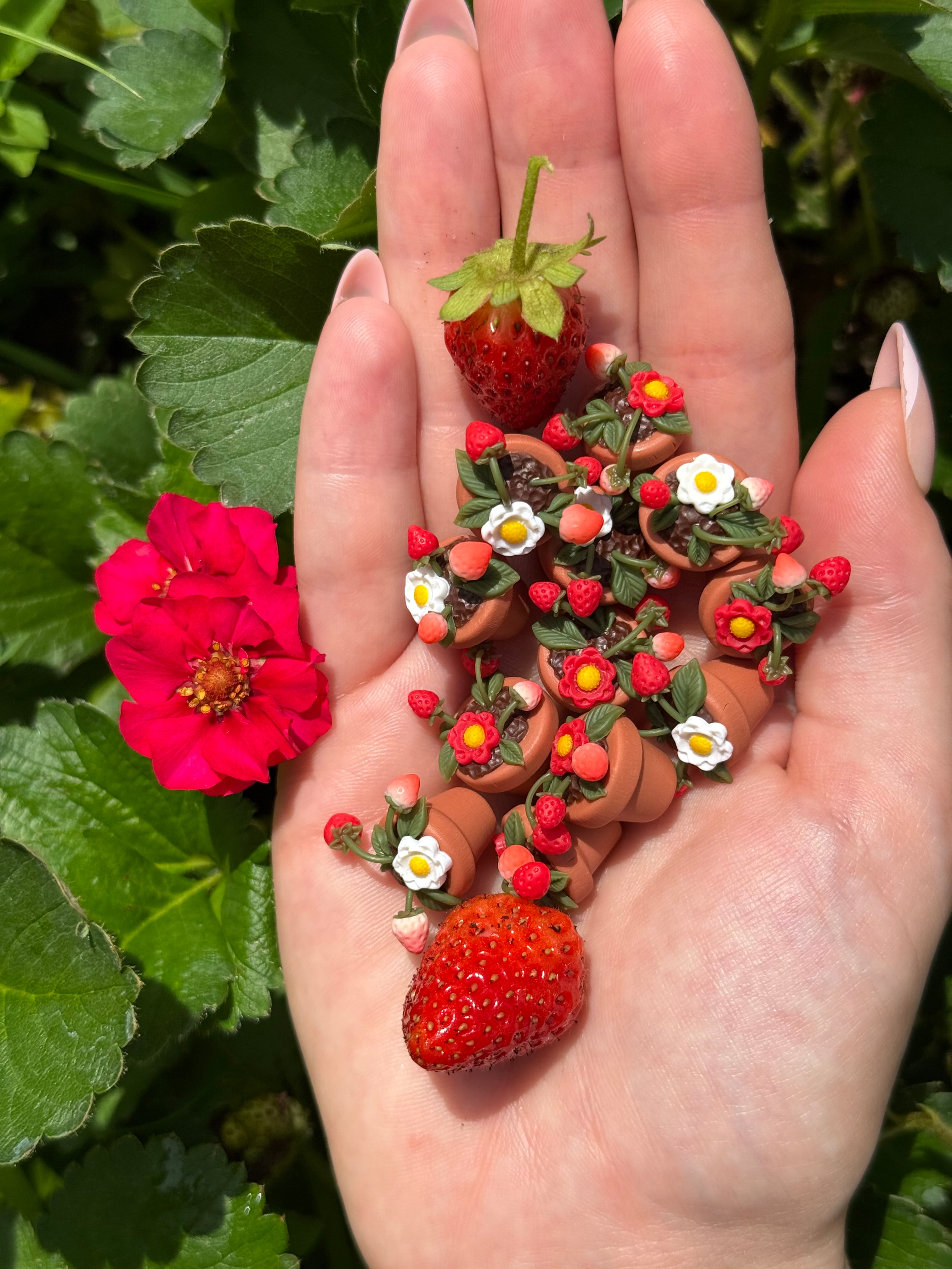 Potted Strawberry Plant Earrings
