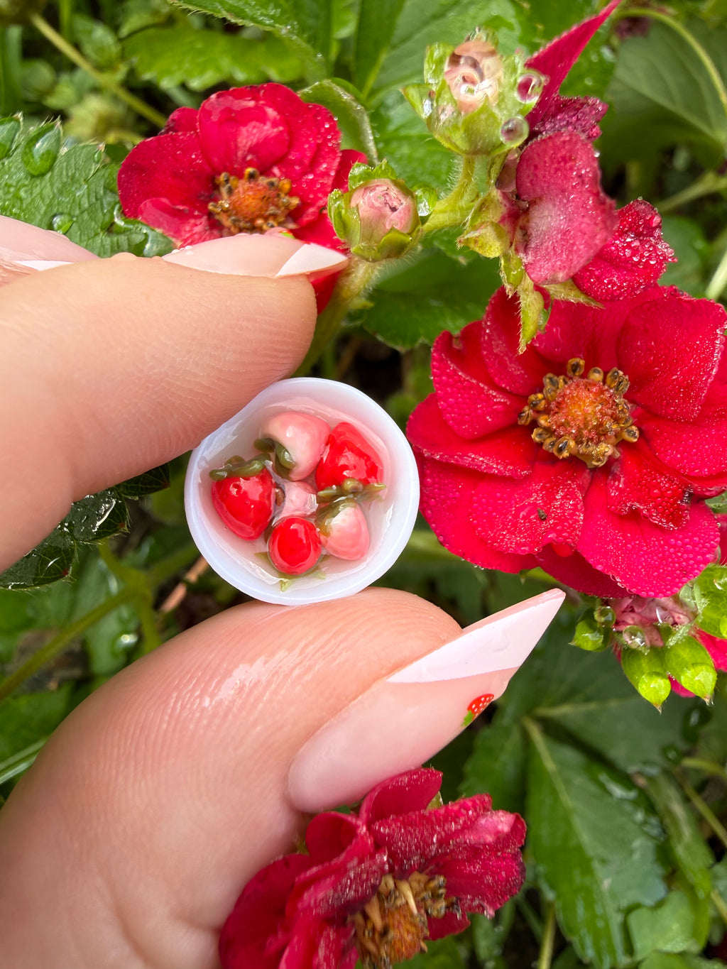 Strawberry Bowls Stud Earrings
