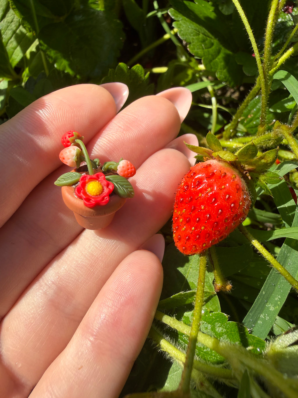 Potted Strawberry Plant Earrings