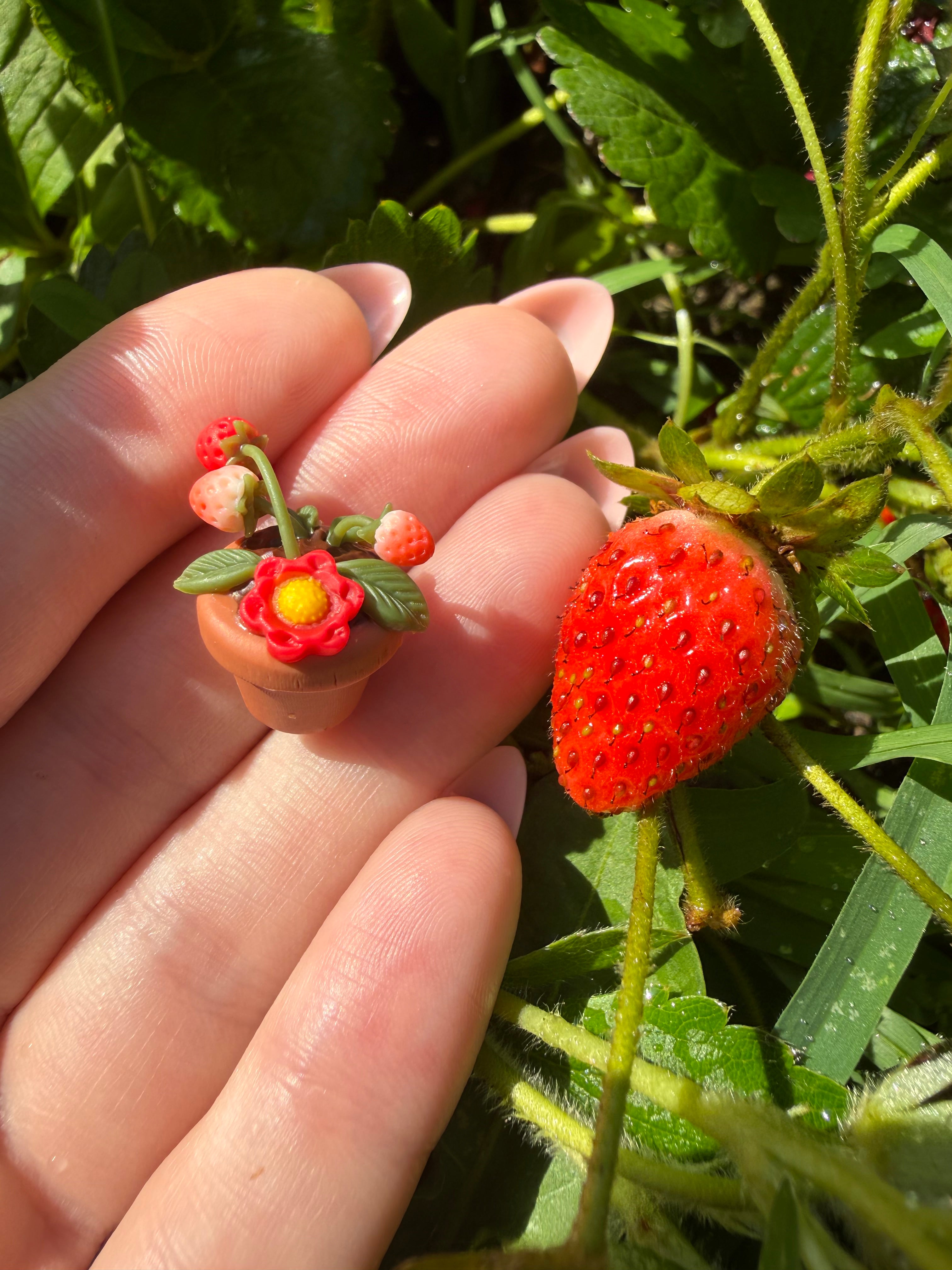 Potted Strawberry Plant Earrings