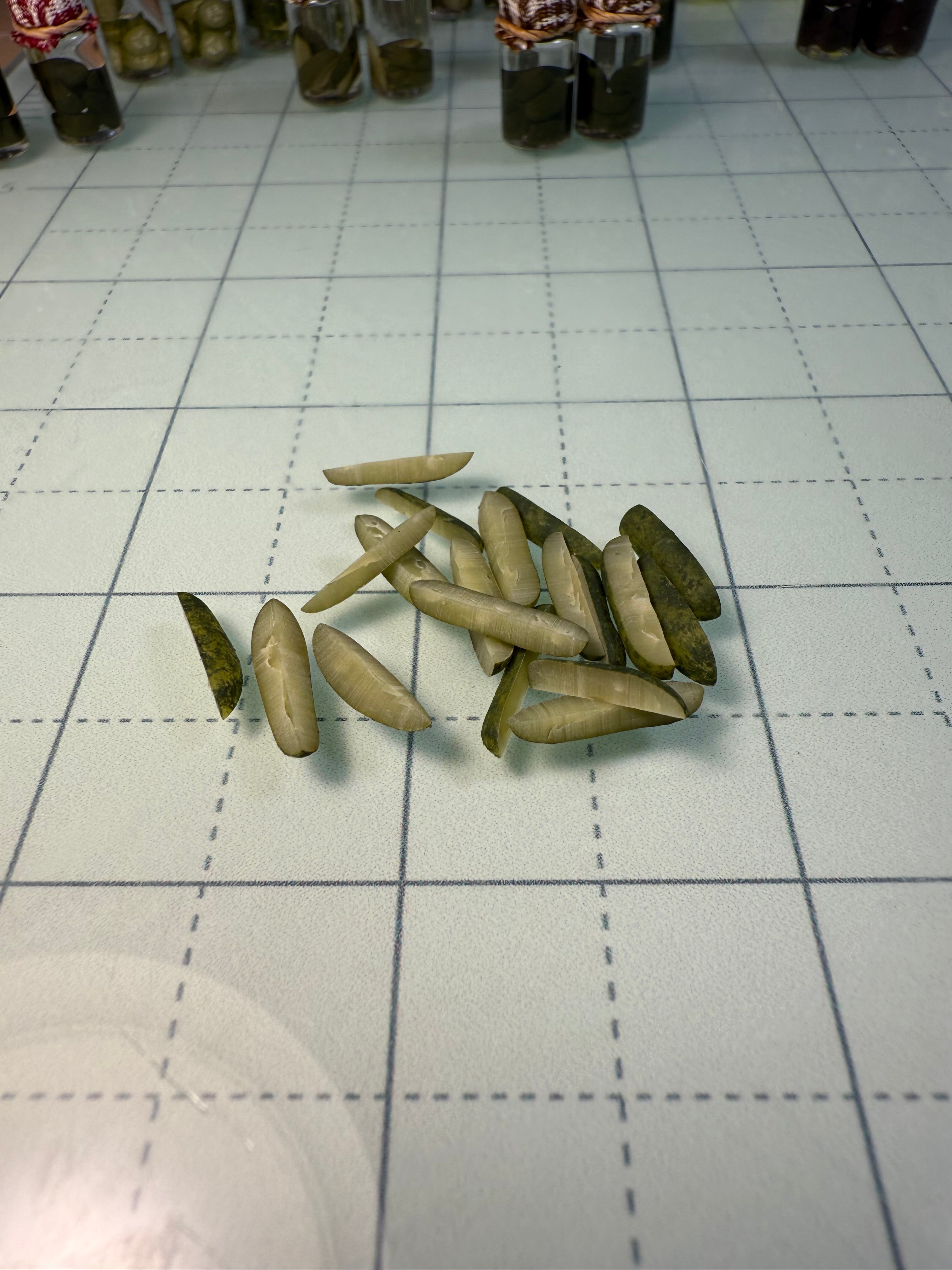 Pickle Spears Jar Earrings