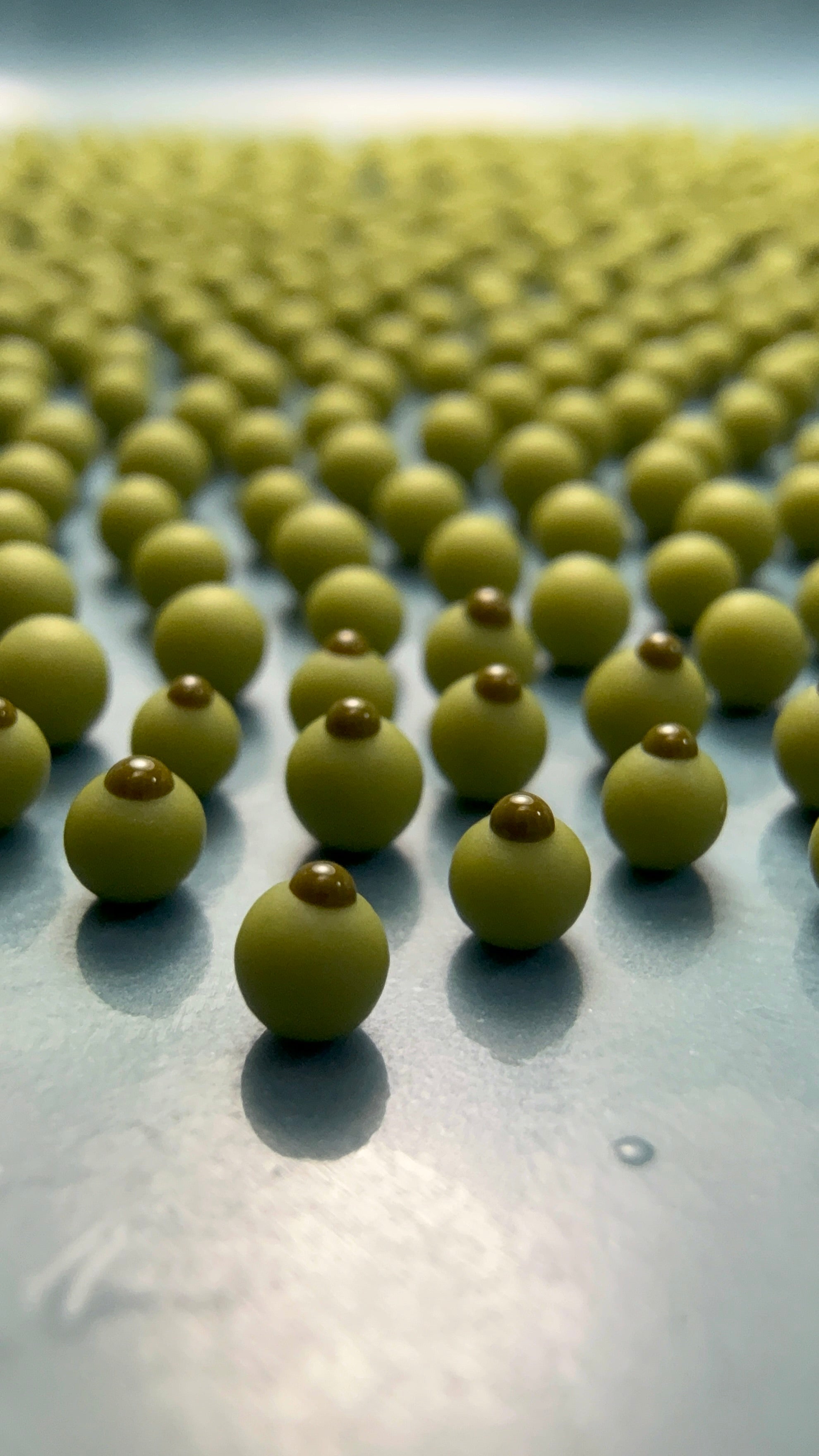 Castelvetrano Olives Jar Earrings