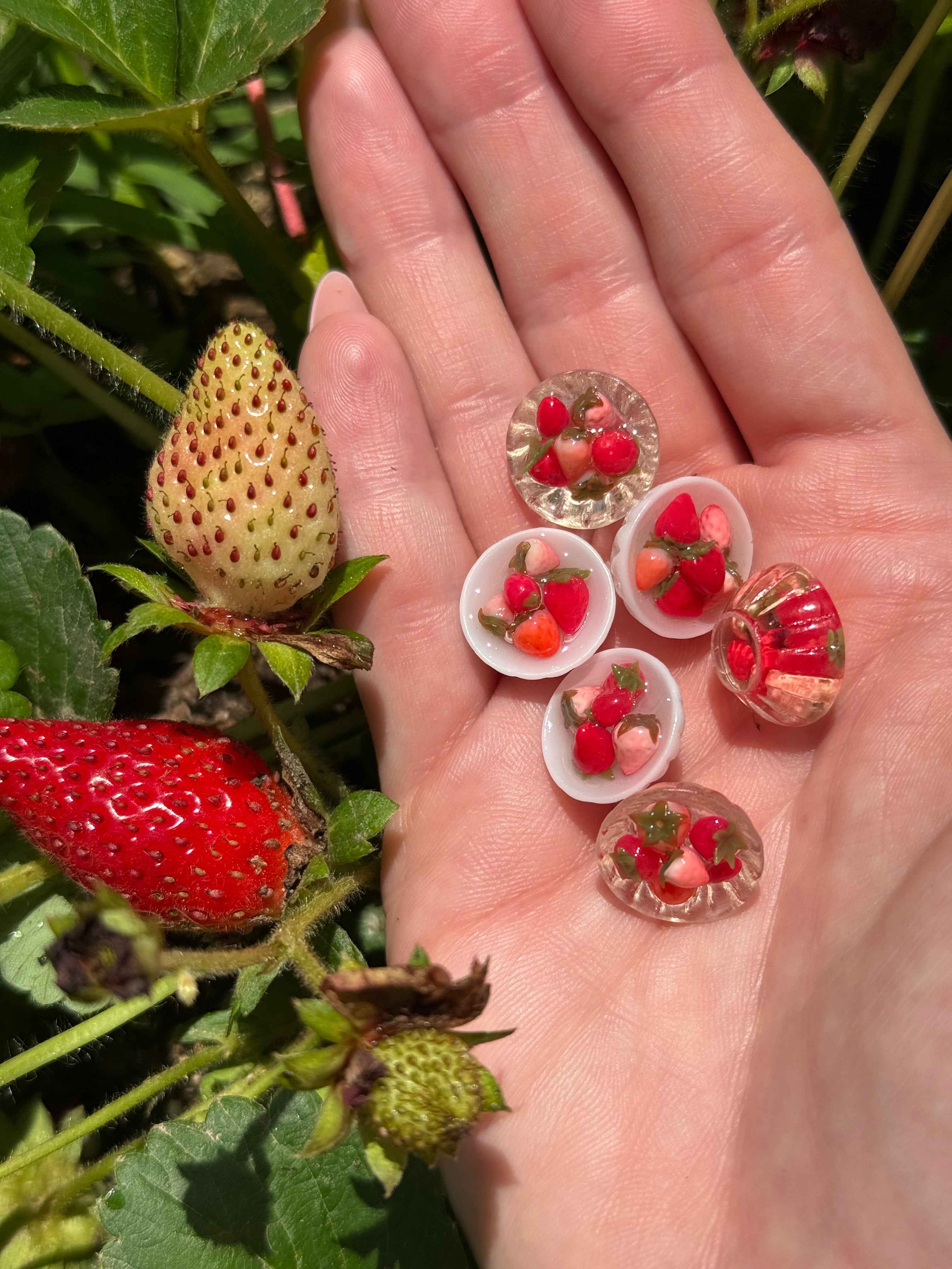 Strawberry Bowls Stud Earrings