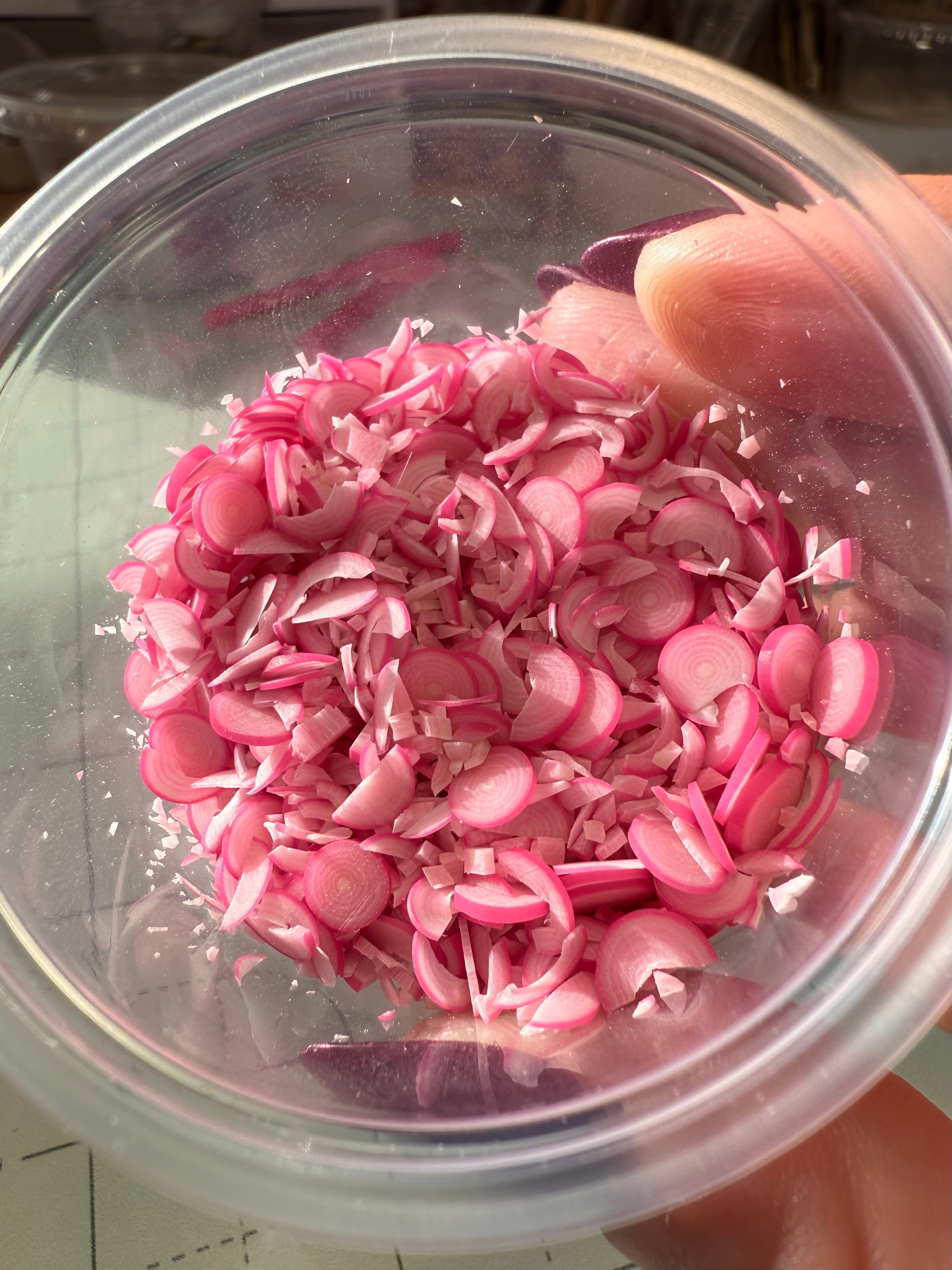 Pickled Red Onion Jar Earrings