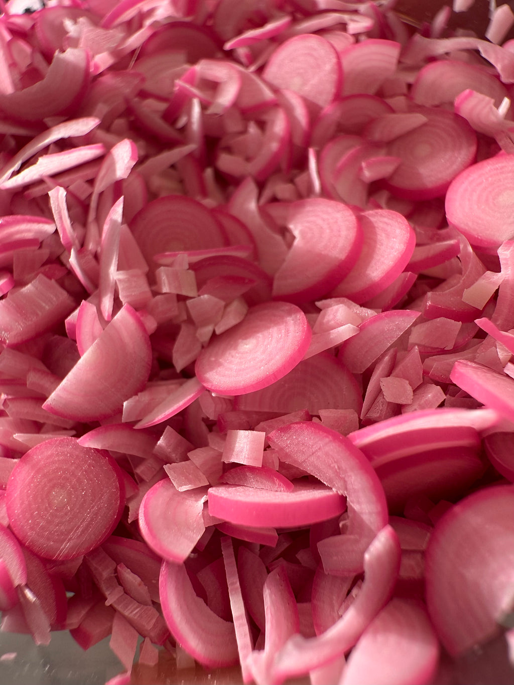 Pickled Red Onion Jar Earrings