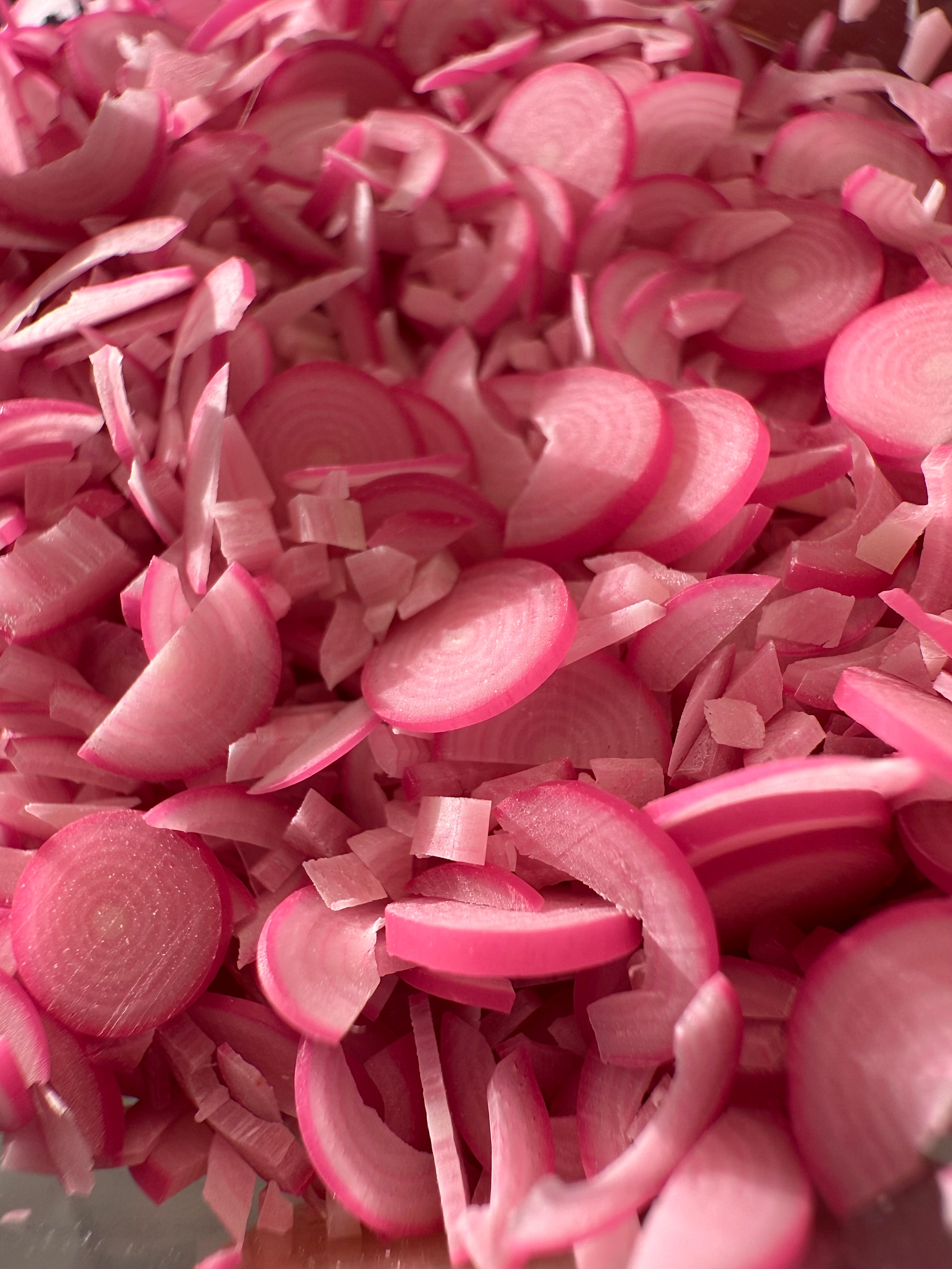 Pickled Red Onion Jar Earrings