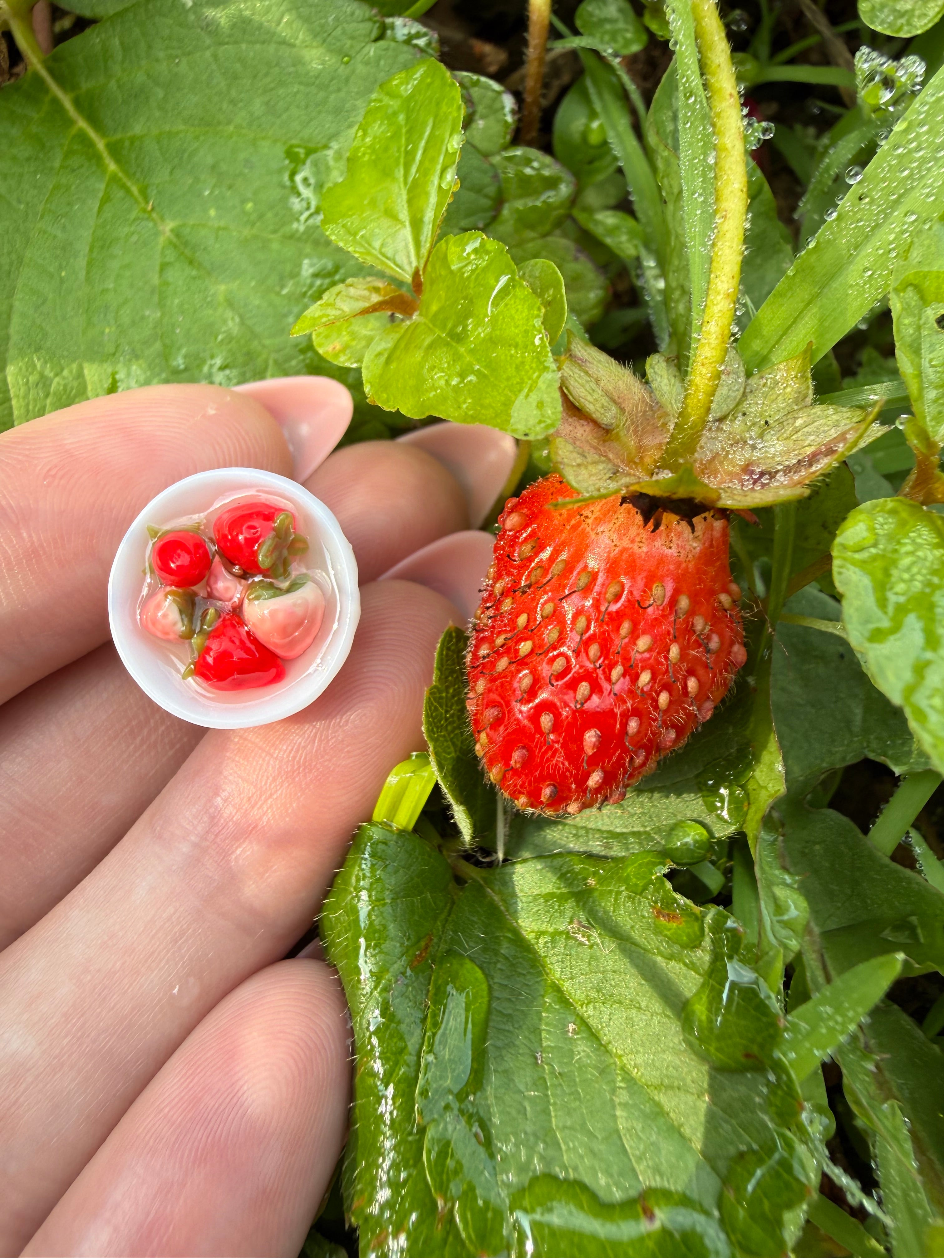 Strawberry Bowls Stud Earrings